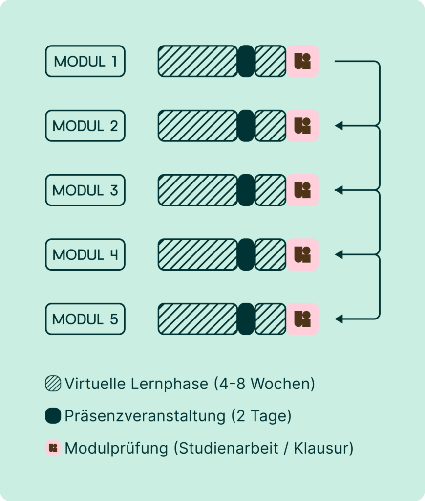 Studienkonzept Grafik