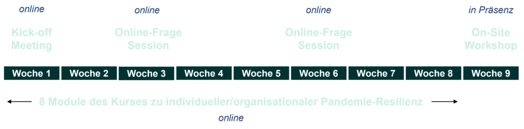 Timeline Programm